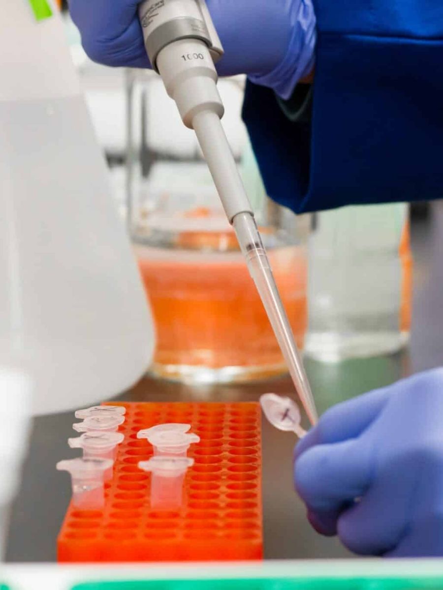 Technician taking sample test